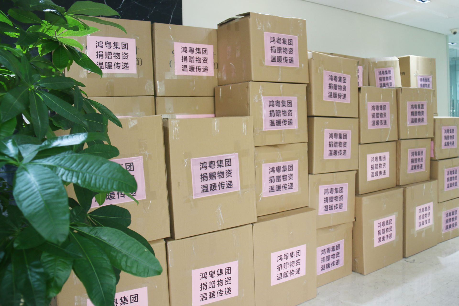 开云网页版·网站在线登入-开云(中国)公益回顾丨家国同欢月同圆 温暖满载甘孜州(图1)